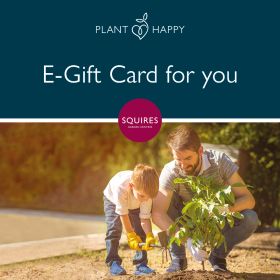 Squire's E-Gift Card - Father's Day